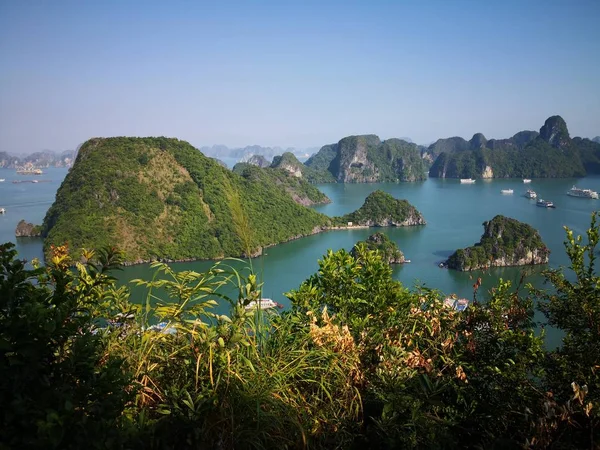 Hermosa Vista Naturaleza Escena — Foto de Stock