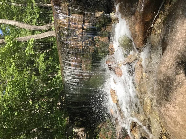 Cascada Bosque Naturaleza Flora Con Flujo Agua — Foto de Stock