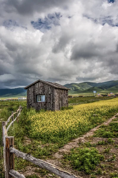 Hermosa Vista Paisaje Rural — Foto de Stock