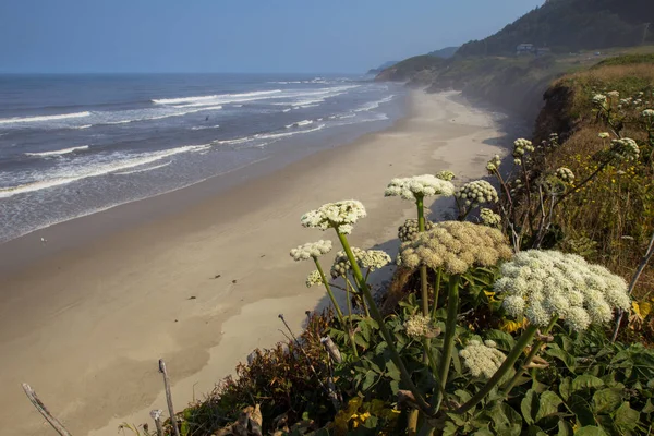 Mooie Zeegezicht Natuur Achtergrond — Stockfoto