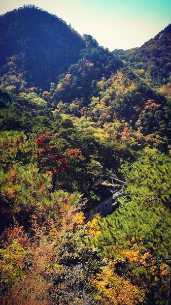 Hermoso Paisaje Otoño Las Montañas — Foto de Stock