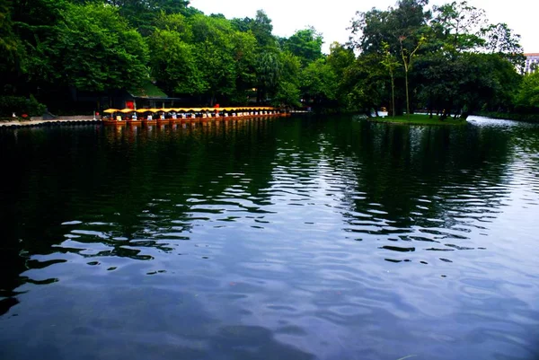 Hermosa Vista Del Parque Ciudad Los Países Bajos — Foto de Stock