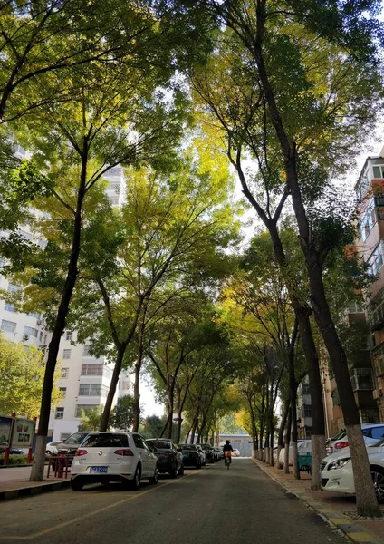 Pintoresca Vista Del Parque Ciudad — Foto de Stock