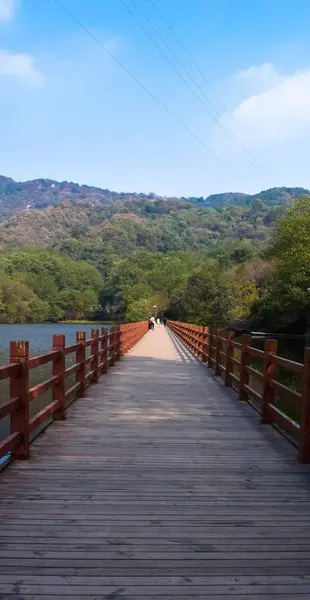 Puente Madera Las Montañas — Foto de Stock