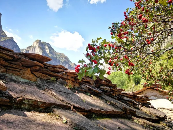 beautiful landscape of the valley of the mountains