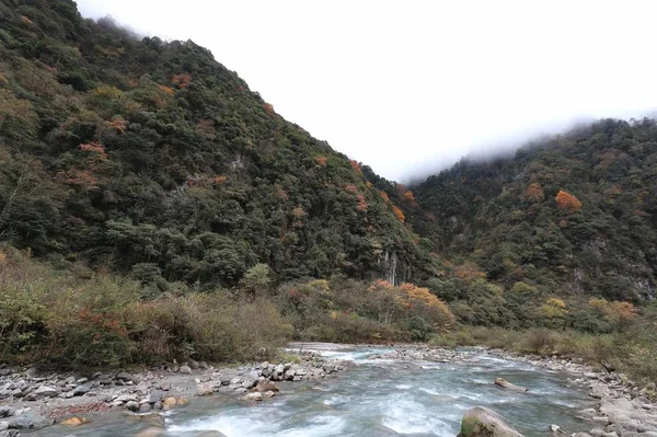 Hermoso Paisaje Con Río Montaña Fondo — Foto de Stock