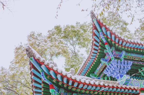 the chinese flags in the park