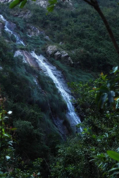 waterfall in forest, nature and flora with water flow