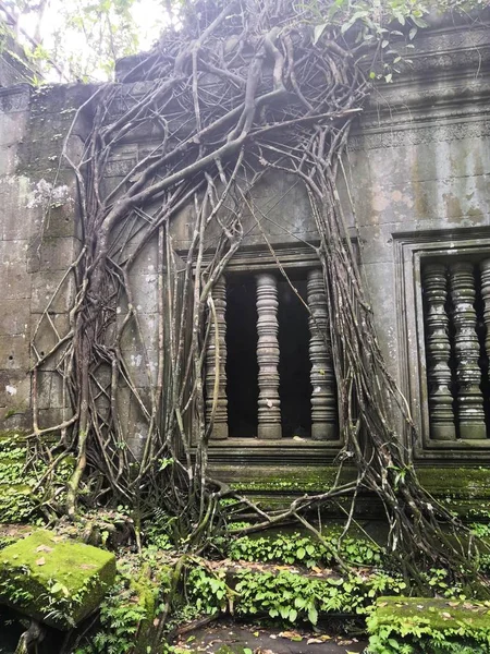 old abandoned ruins in the city of angkor