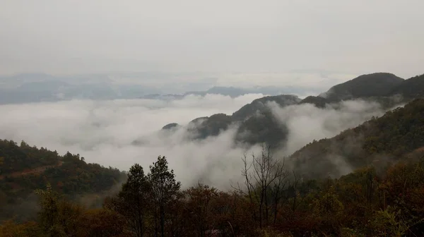 Frühen Morgen Nebel Den Bergen Naturlandschaft — Stockfoto