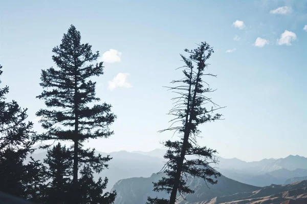 Paisaje Invernal Las Montañas — Foto de Stock