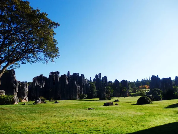 Hermosa Vista Del Parque — Foto de Stock