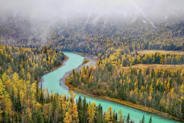 Paesaggio Autunnale Colorato Nella Foresta — Foto Stock