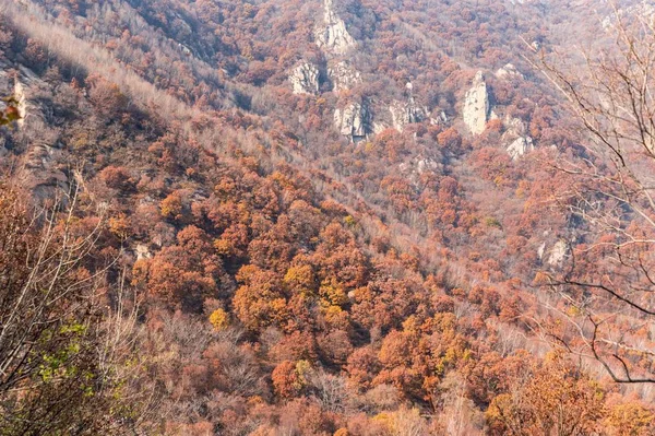 Otoño Paisaje Otoño — Foto de Stock