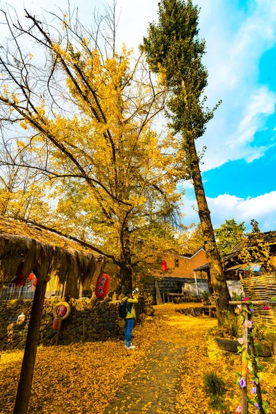 Otoño Parque Ciudad Del Otoño — Foto de Stock