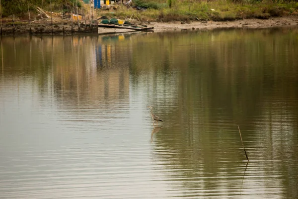 a small boat in the lake