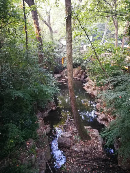 Bosque Las Montañas — Foto de Stock