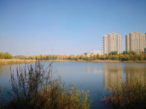 Hermosa Vista Del Lago Parque — Foto de Stock