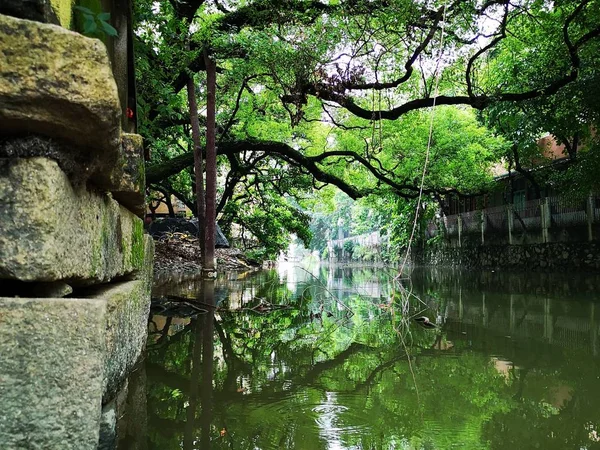 Hermosa Vista Del Parque Ciudad — Foto de Stock