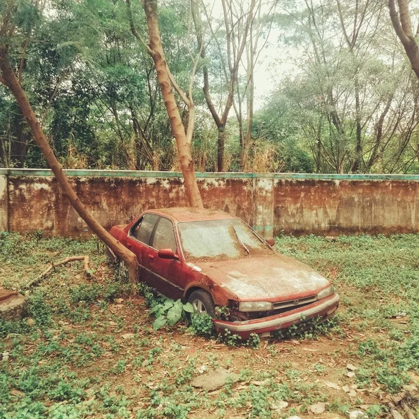 Viejo Barco Madera Bosque — Foto de Stock