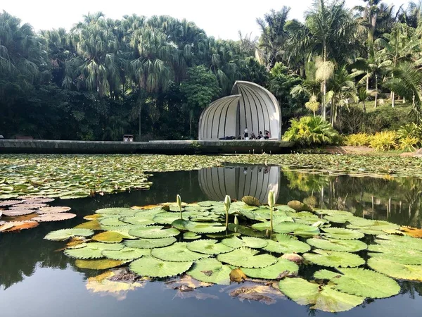 Hermoso Jardín Parque — Foto de Stock