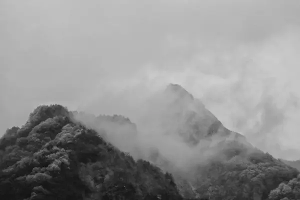 Νωρίς Πρωί Ομίχλη Στα Βουνά Φύση Τοπίο — Φωτογραφία Αρχείου