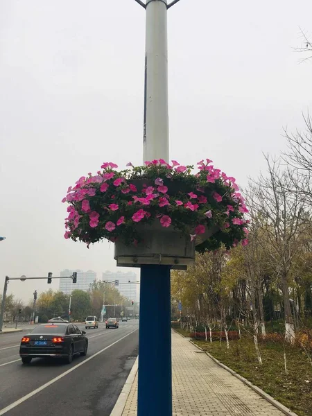 Farola Ciudad Barcelona España — Foto de Stock