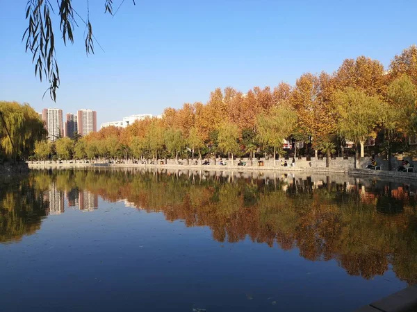 Parque Ciudad Del Estado Capital Los Países Bajos — Foto de Stock