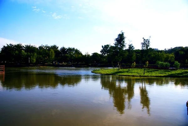 Hermoso Paisaje Con Estanque Lago — Foto de Stock