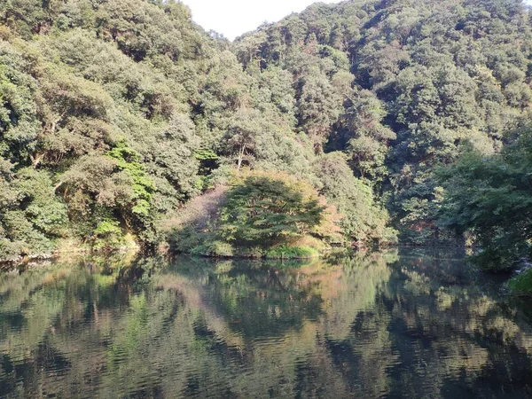 Bellissimo Paesaggio Del Lago Nella Foresta — Foto Stock