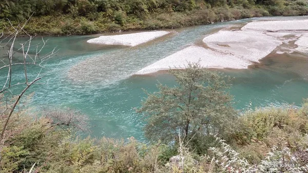 Río Bosque — Foto de Stock