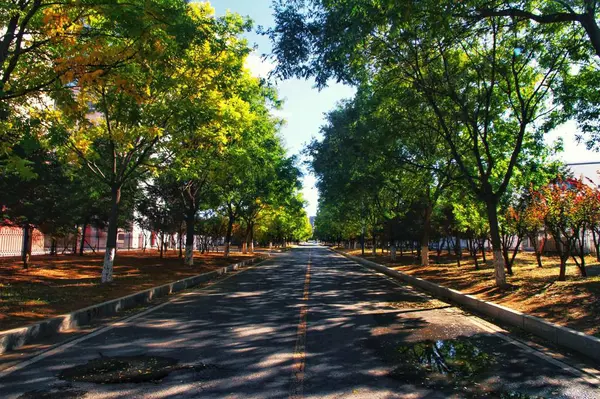 stock image beautiful view of the city park in the summer