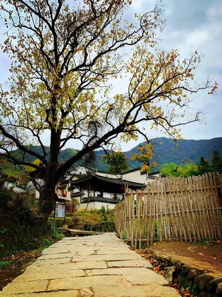 Hermoso Paisaje Una Casa Parque — Foto de Stock