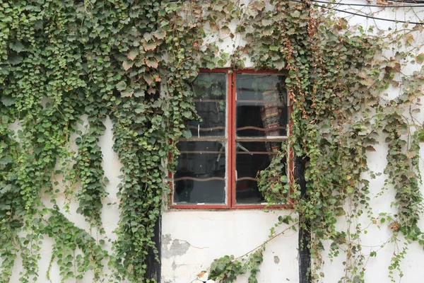 Antigua Casa Jardín — Foto de Stock