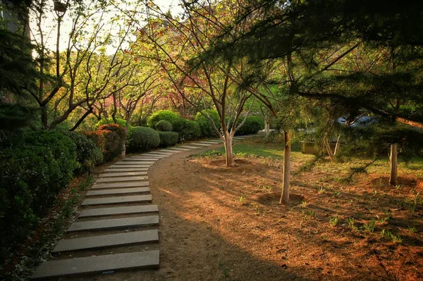 Hermoso Paisaje Parque — Foto de Stock