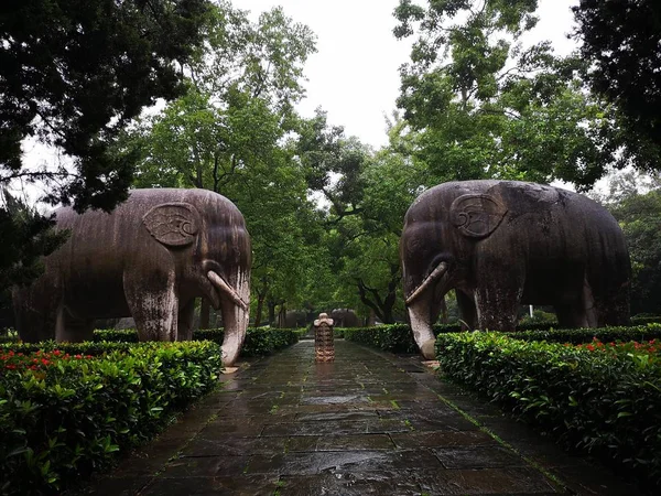 Elefante Selva — Foto de Stock