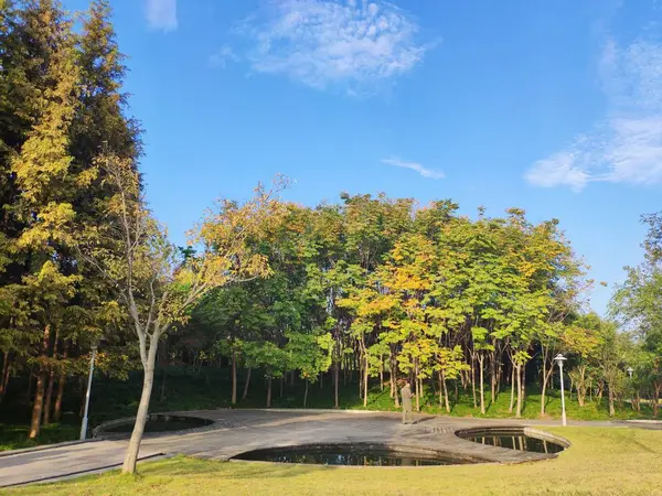 Hermoso Paisaje Del Parque Ciudad Tailandia — Foto de Stock