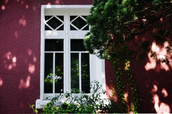 Árbol Navidad Con Flores Rojas Ventana — Foto de Stock