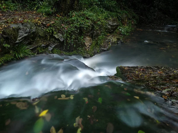 waterfall, river flow in nature, flora