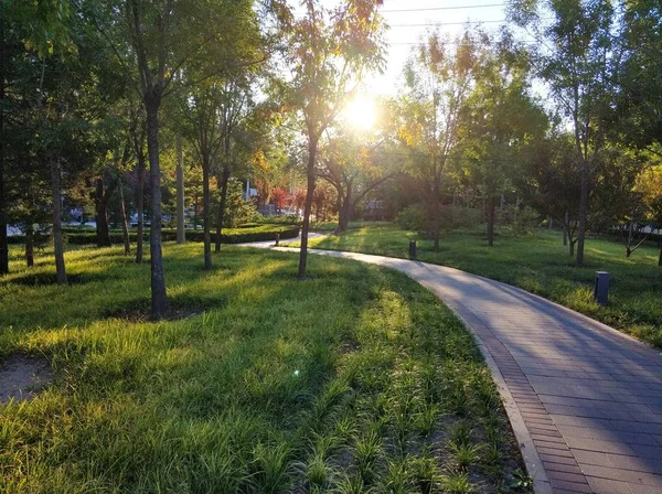 Hermoso Parque Ciudad — Foto de Stock