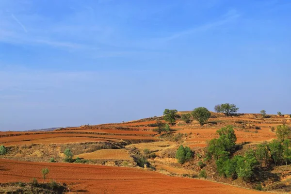 Paisaje Del Desierto Del Néguev Israel — Foto de Stock