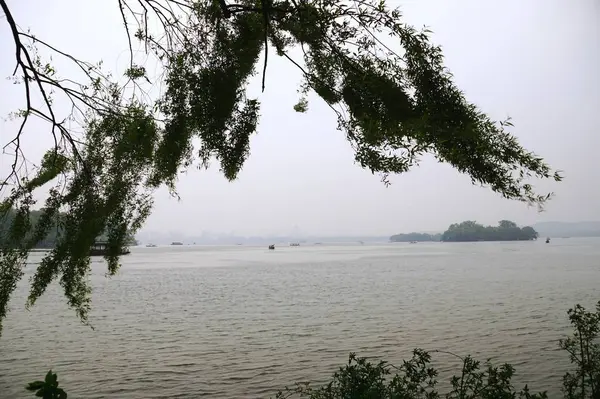 Hermoso Paisaje Con Lago Árboles — Foto de Stock