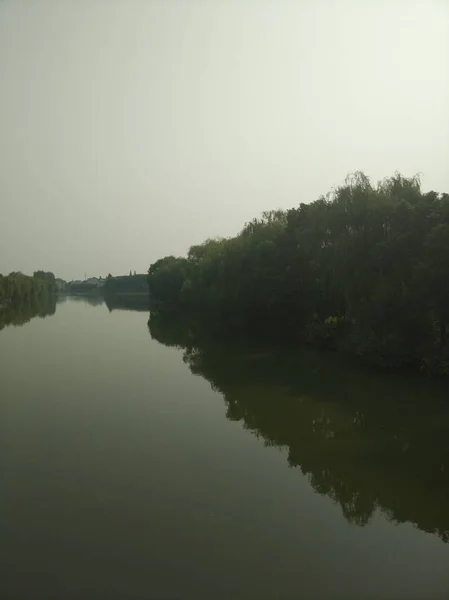 beautiful landscape with a tree and a reflection of trees