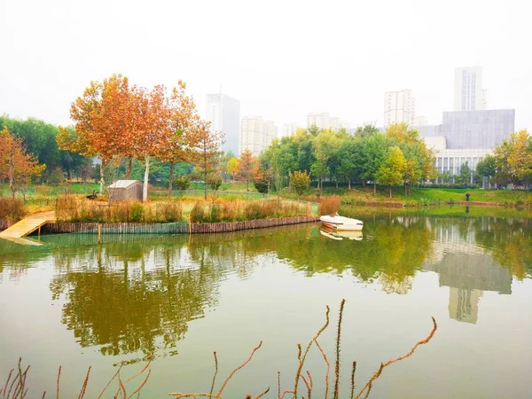 Parque Otoño Ciudad — Foto de Stock