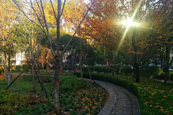 Hermoso Paisaje Con Árboles Colores Parque — Foto de Stock