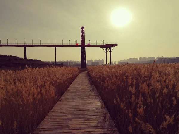 wooden bridge over the lake