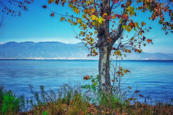 stock image beautiful lake in the mountains