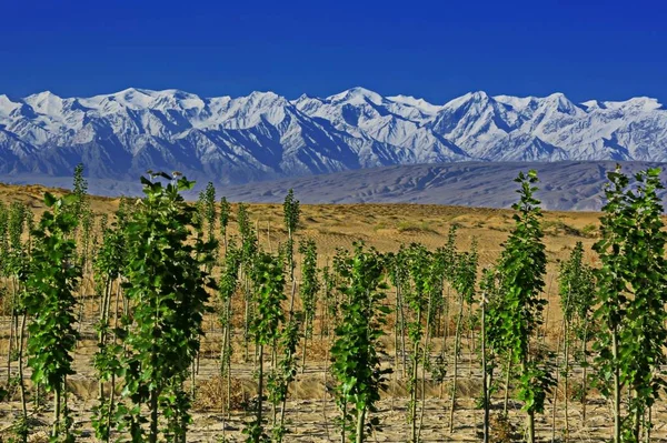 mountain landscape in the valley of the colorado mountains