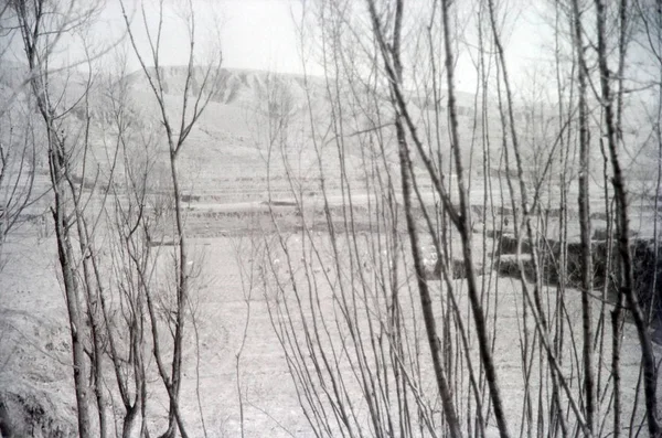 Paisaje Invernal Con Nieve Árboles — Foto de Stock