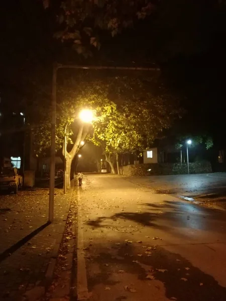 Carretera Nocturna Parque Ciudad — Foto de Stock